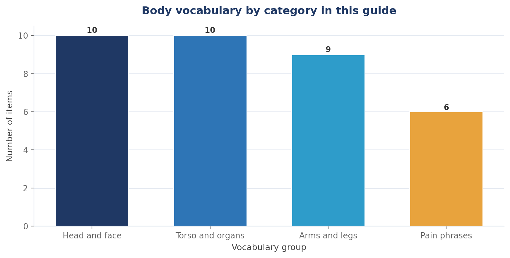 Essential German Vocabulary: The Body (with Examples)